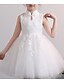 preiswerte Kleider für Mädchen-Mädchen&#039; Ärmellos Einfarbig 3D-gedruckte Grafik Kleider Basic Kleid kinderkleidung