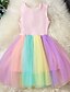 cheap Girls&#039; Dresses-Kids Little Dress Girls&#039; Rainbow Patchwork Daily Tulle Dress Sequins Pink Tulle Sleeveless Basic Cute Dresses Spring Summer 3-12 Years