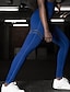 abordables Graphic Chic-Femme Occasion spéciale Des sports Sportif Legging Bandes Couleur Pleine Taille haute Bleu Noir Vert S M L / Mince