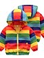 cheap Boys&#039; Jackets &amp; Coats-Boys 3D Color Block Rainbow Trench Coat Active Basic Polyester Kids