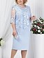 cheap Dresses-Women&#039;s Plus Size Curve Sheath Dress Lace Dress Floral Round Neck Lace Half Sleeve Fall Spring Work Vintage Prom Dress Knee Length Dress Party Daily Dress