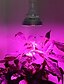 preiswerte LED Pflanzenlampe-1pc 80 W 4000-5000 lm 120 LED-Perlen Vollspektrum Für Gewächshaus Hydroponisch Wachsende Leuchte Weiß Rot Blau 85-265 V Gemüse Gewächshaus