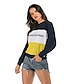 cheap Hoodies &amp; Sweatshirts-Women&#039;s Plus Size Sweatshirt Color Block Solid Colored Letter Basic Hoodies Sweatshirts  Blue