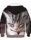 billige Hettegensere og gensere til jenter-Barn Jente Hettegenser og sweatshirt Langermet Regnbue 3D-utskrift Katt Trykt mønster Trykt mønster Katt 3D Dyr Aktiv Gatemote