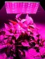 preiswerte LED Pflanzenlampe-LED wachsen Licht Vollspektrum Pflanze wachsen 25w 75led Perlen einfach zu installieren Highlight Energieeinsparung 85-265v Zimmerpflanzen Growbox Gewächshaus Hydroponik Gemüse Blumen und Früchte 1St