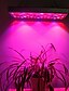 abordables Luz Ambiente LED-led grow light planta de espectro completo grow 25w 75led beads fácil de instalar resalte ahorro de energía 85-265v plantas de interior growbox invernadero hidropónico hortalizas flores y frutas 1pc