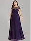 cheap Mother of the Bride Dresses-A-Line Mother of the Bride Dress Wedding Guest Plus Size Jewel Neck Floor Length Chiffon Short Sleeve with Lace Ruching Fall 2023