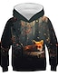 cheap Boys&#039; Hoodies &amp; Sweatshirts-Kids Boys&#039; Hoodie Long Sleeve Rainbow 3D Print Fox Animal Daily Active Streetwear Cute 3-12 Years / Fall / Spring