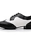 cheap Men&#039;s Shoes-Men&#039;s Dance Shoes Modern Shoes Ballroom Shoes Heel Thick Heel Black / White Lace-up / Performance / Practice