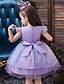 baratos Vestidos para Meninas-Infantil Pouco Vestido Para Meninas Arco-Íris Floral Unicórnio Natal Festa Vestido De Tule Renda Azul Branco Roxo Altura dos Joelhos Manga Curta Elegante Princesa Estilo bonito Vestidos Natal Delgado