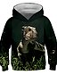 cheap Boys&#039; Hoodies &amp; Sweatshirts-Boys&#039; Dinosaur 3D Print Pullover Hoodie