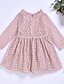 cheap Girls&#039; Dresses-Kids Toddler Little Girls&#039; Dress Solid Colored Cut Out Lace Trims Dusty Rose Cotton Knee-length Long Sleeve Active Cute Dresses Children&#039;s Day Loose