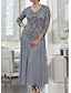 cheap Elegant Dresses-Women&#039;s Swing Dress Maxi long Dress - Long Sleeve Solid Colored Lace Spring Fall V Neck Slim Gray M L XL XXL 3XL