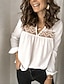 cheap Tops &amp; Blouses-Women&#039;s Daily Basic Blouse - Solid Colored Lace Black