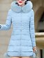 cheap Women&#039;s Coats &amp; Jackets-Women&#039;s Down Coat Regular Fit Jacket Solid Colored Blue Blushing Pink Gray