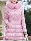 cheap Women&#039;s Coats &amp; Jackets-Women&#039;s Down Coat Regular Fit Jacket Solid Colored Blue Blushing Pink Gray