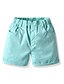 abordables Pantalons pour Garçons-Enfants Garçon Le Jour des enfants Short Vert clair Kaki Orange Couleur Pleine Coton basique Vêtement de rue