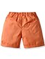 billige Drengebukser-Børn Drenge Barnet&#039;s Dag Shorts Lys Grøn Kakifarvet Orange Ensfarvet Bomuld Basale Gade
