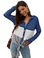 economico Sweaters &amp; Cardigans-Per donna Blusa Color Block Con cappuccio Giornaliero Manica lunga Top Blu Nero Marrone