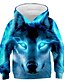 cheap Boys&#039; Hoodies &amp; Sweatshirts-Kids Boys&#039; Hoodie &amp; Sweatshirt Long Sleeve Color Block 3D Print Blue Children Tops Basic Streetwear
