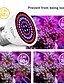 cheap Plant Growing Lights-Grow Light for Indoor Plants LED Plant Growing Light Lamps E27 Led Full Spectrum Grow Light Led Bulbs Seedling 80leds Plant Growing Lamp For Greenhouse E14