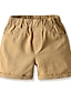abordables Pantalons pour Garçons-Enfants Garçon Le Jour des enfants Short Vert clair Kaki Orange Couleur Pleine Coton basique Vêtement de rue