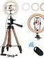 cheap Ring Lights-7.87inch(20cm) Selfie Ring Light Night Light Tiktok Light Youtube Video Color-Changing / Dimmable / Adjustable Selfie Light Remote Control 2pcs