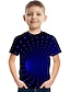 preiswerte Jungen T-Shirts &amp; Hemden-Kinder Jungen T-Shirt Kurzarm Regenbogen Einfarbig 3D Druck Blau Kinder Oberteile Sommer Grundlegend Street Schick