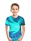 baratos Camisetas Para Meninos-Infantil Para Meninos Camisa Manga Curta Verde Azul Azul Real Impressão 3D Pregueado 3D impressão Ativo Roupa de rua / Verão