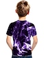 billige T-skjorter og skjorter til gutter-Barnas Dag Gutt 3D Fargeblokk 3D T skjorte T-skjorte Kortermet 3D-utskrift Sommer Aktiv Gatemote Polyester Rayon Barn