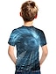 cheap Boys&#039; Tees &amp; Blouses-Kids Boys&#039; T shirt Tee Short Sleeve Color Block 3D Print Rainbow Children Tops Summer Active Streetwear Children&#039;s Day