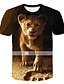 abordables T-shirts et chemises pour garçons-Garçon 3D Animal Bloc de couleur 3D T-shirt Tee-shirts Manche Courte 3D effet Eté Vêtement de rue basique Polyester Spandex Enfants