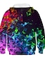 cheap Boys&#039; Hoodies &amp; Sweatshirts-Boys&#039; 3D Rainbow Optical Illusion Hoodie 4-12 Years