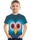 baratos Camisetas Para Meninos-Infantil Para Meninos Camisa Camiseta Manga Curta Estampa Colorida 3D Estampado Arco-íris Crianças Blusas Activo Moda de Rua Dia da Criança