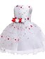 cheap Girls&#039; Dresses-Toddler Little Girls&#039; Dress Jacquard Solid Colored Layered Dress Ruffle Lace Trims White Purple Red Knee-length Sleeveless Flower Cute Dresses Children&#039;s Day Slim