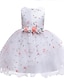 cheap Girls&#039; Dresses-Toddler Little Girls&#039; Dress Jacquard Solid Colored Layered Dress Ruffle Lace Trims White Purple Red Knee-length Sleeveless Flower Cute Dresses Children&#039;s Day Slim