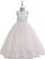 cheap Girls&#039; Dresses-Kids Little Girls&#039; Dress Solid Colored Tulle Dress Embroidered Mesh Lace Blue Purple Blushing Pink Maxi Sleeveless Cute Dresses Children&#039;s Day Slim Baby