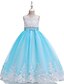 cheap Girls&#039; Dresses-Kids Little Girls&#039; Dress Solid Colored Tulle Dress Embroidered Mesh Lace Blue Purple Blushing Pink Maxi Sleeveless Cute Dresses Children&#039;s Day Slim Baby