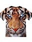 abordables Camisetas y camisas para niños-Niños Chico Camiseta Manga Corta Tigre Animal Amarillo Niños Tops Verano Básico Vacaciones