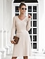 cheap Elegant Dresses-Women&#039;s Sweater Jumper Dress Knee Length Dress Black Brown Beige Long Sleeve Fall Winter V Neck Hot Casual 2021 One-Size