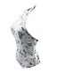 cheap One-Pieces-Women&#039;s One Piece Swimsuit Tummy Control Slim Print Floral White Black Swimwear Halter Bathing Suits / Padded Bras