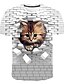 abordables Tank Tops-T-shirt Chemise Homme Chat Graphique Animal 3D effet Normal Col Rond Manches Courtes Imprimer Standard du quotidien basique Polyester