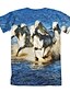 abordables Camisetas y blusas para niñas-Niños Chica Camiseta Manga Corta Caballo Unicornio Animal Estampado Azul Piscina Niños Tops Básico Vacaciones Estilo lindo
