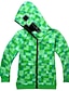 cheap Boys&#039; Hoodies &amp; Sweatshirts-Kids Boys&#039; Basic Color Block Long Sleeve Hoodie &amp; Sweatshirt Green