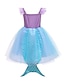 cheap Girls&#039; Dresses-Kids Little Dress Girls&#039; Patchwork The Little Mermaid Mesh Purple Knee-length Sleeveless Active Sweet Dresses New Year Regular Fit