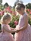 abordables Robes pour Filles-Robe Fille Enfants Bébé Petit Papillon Couleur Pleine Fleur Fête d&#039;anniversaire Ruché Dentelle Rose Claire Blanche Dentelle Tulle Coton Midi Sans Manches Actif Le style mignon Robes Standard