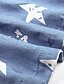 preiswerte Casual Kleider-Damen Jeanshemd Kleid Knielanges Kleid Blau Kurzarm Stern Knopf vorne Druck Sommer Hemdkragen Freizeit 2021 M L XL XXL 3XL