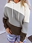 cheap Hoodies &amp; Sweatshirts-Women&#039;s Pullover Hoodie Sweatshirt Color Block Daily non-printing Basic Hoodies Sweatshirts  Blushing Pink Gray Light Blue