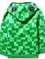 cheap Boys&#039; Hoodies &amp; Sweatshirts-Kids Boys&#039; Basic Color Block Long Sleeve Hoodie &amp; Sweatshirt Green