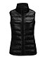 cheap Down&amp; Parkas-Women&#039;s Down Vest Solid Colored Patchwork Basic Fall Winter Stand Collar Regular Coat Sports &amp; Outdoor Sleeveless Jacket Blue / Going out